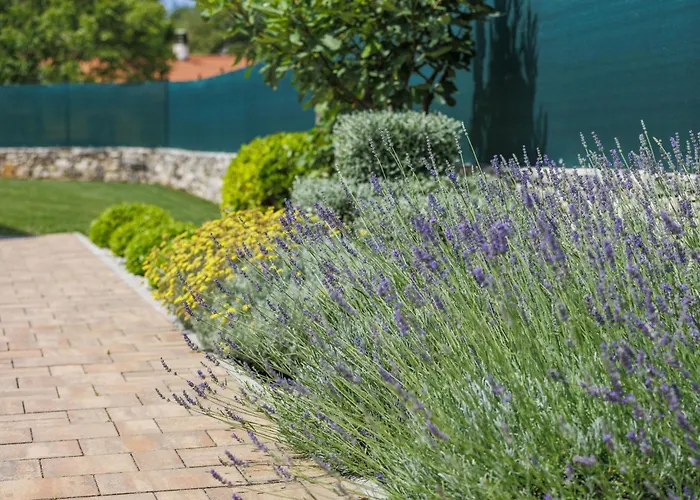 Holiday home Veli Vrt By Interhome Zminj